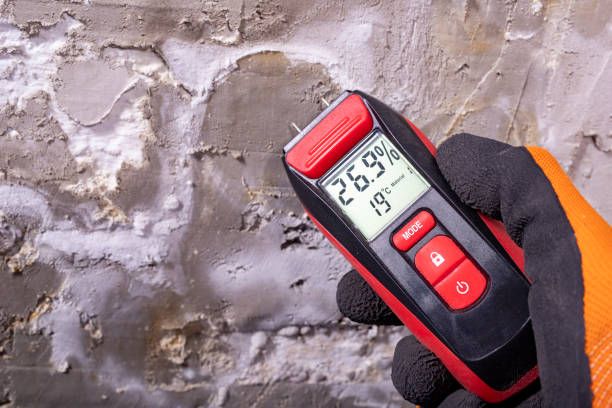 Best Affordable Mold Removal  in Baraga, MI